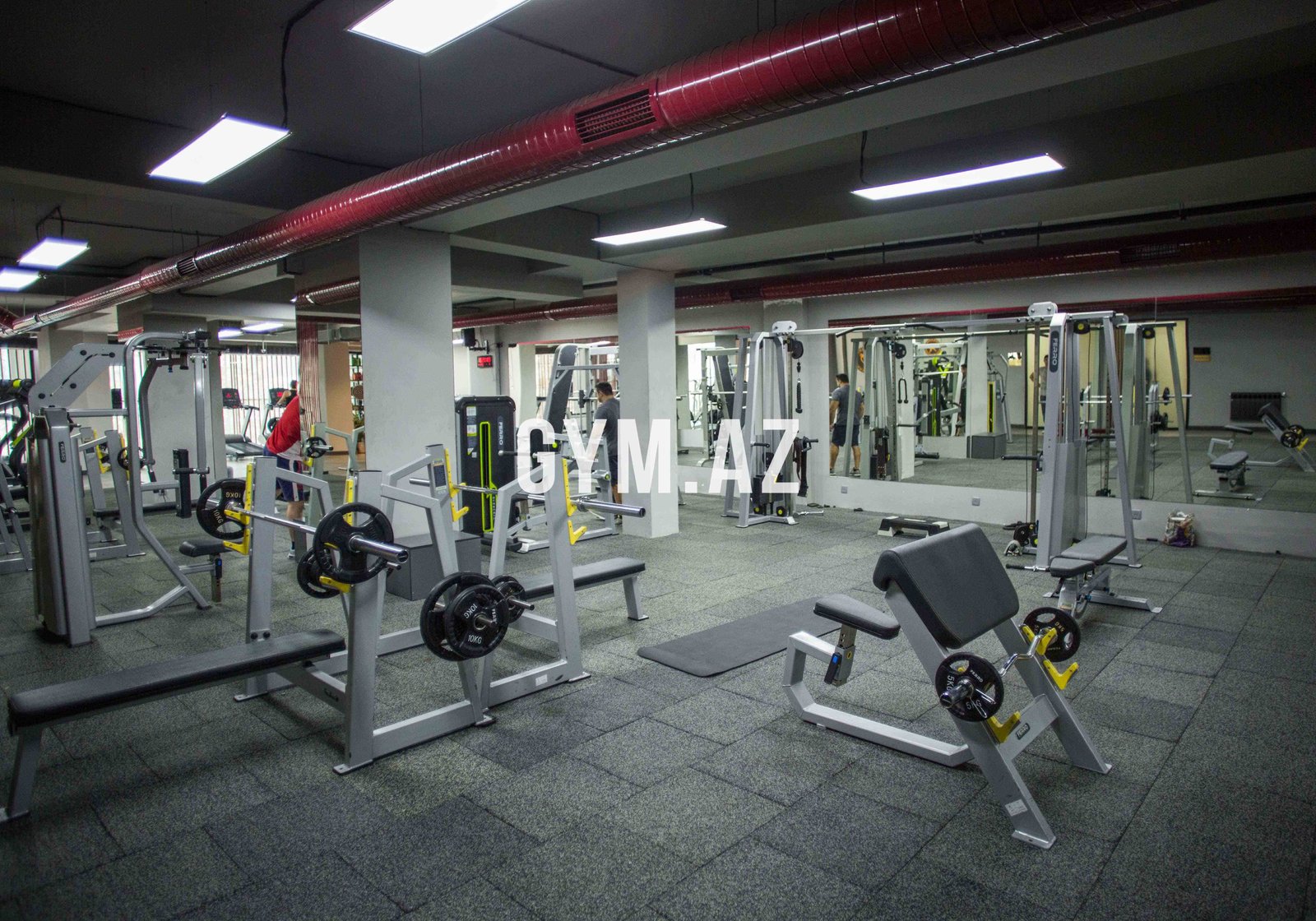 JV Fitnes Sharifzada